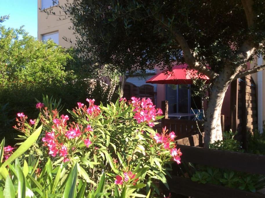 Cap Agde Studio-Cabine Jardin Clos, Port Et Plage Extérieur photo